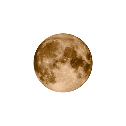 Mission to the Moon - Moonshine™ Gold - VELCRO© Strap. - OM Luxury